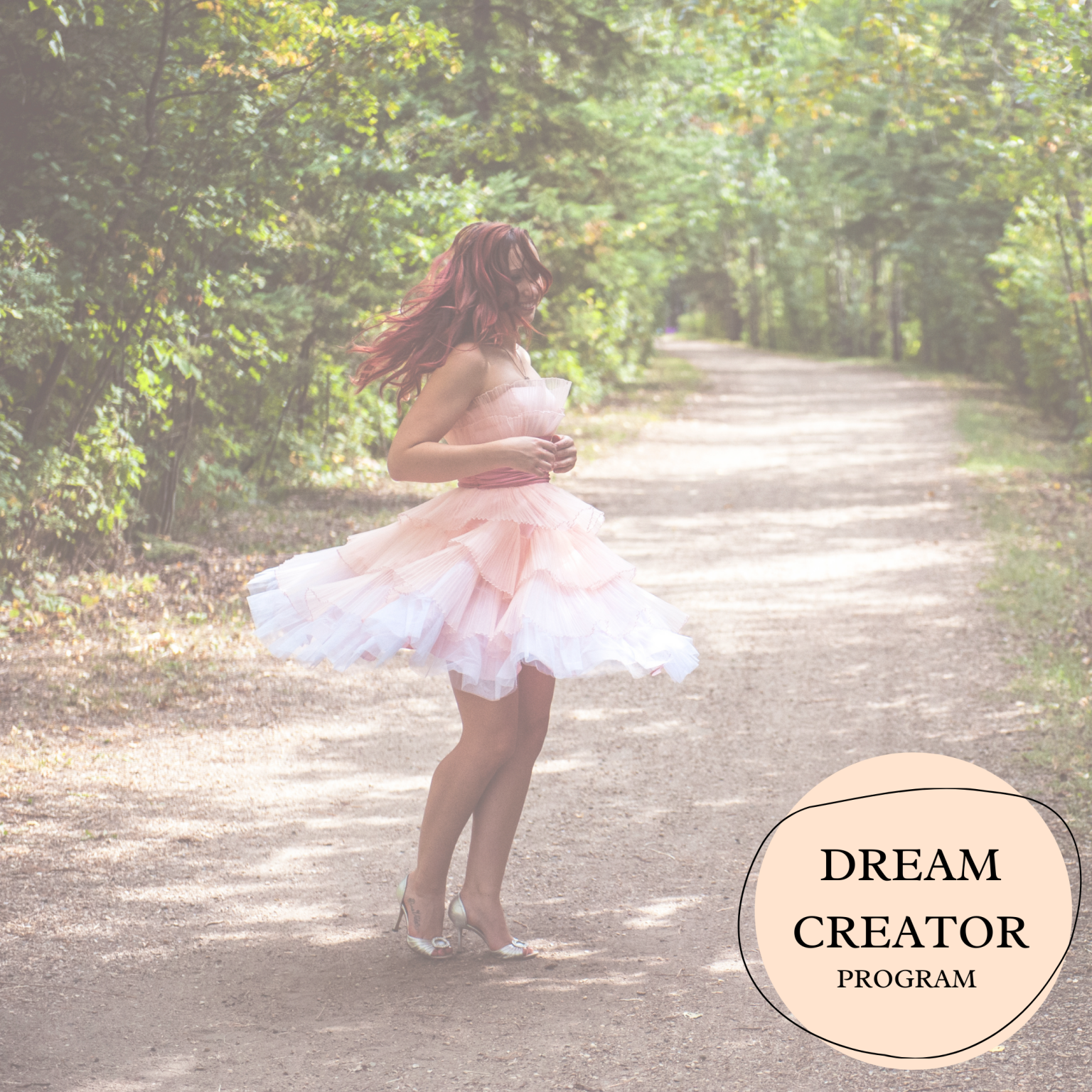 Dance your way through - dream creator program